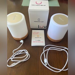 Luv Link Friendship Lamps - Set of two